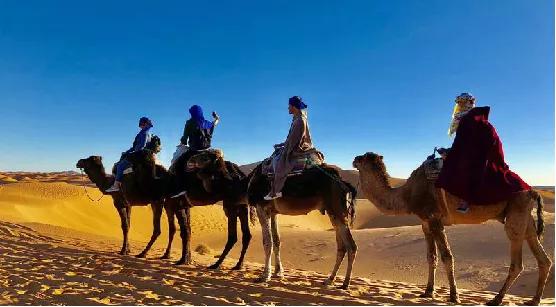 迪士尼阿拉丁神灯主题曲,迪士尼动画阿拉丁主题曲