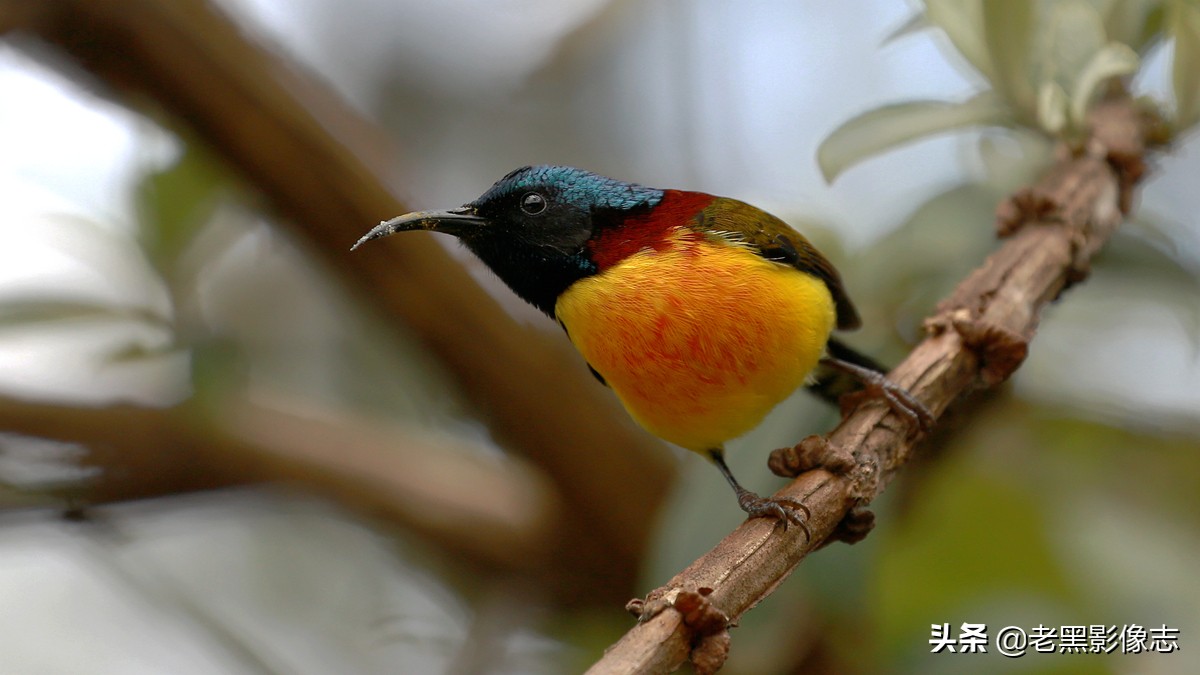 无量山镇游玩攻略一日游,无量山旅游攻略一日游多少钱