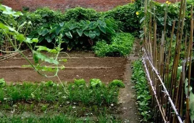 农民发家致富好点子,农村创业新点子十大暴利行业