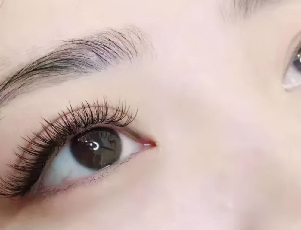 细菌侵入脑神经,细菌入侵眼睛