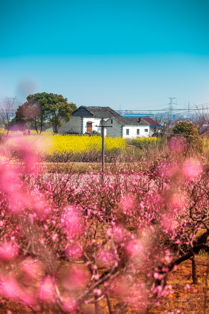 2019中国百强县当涂排名,全国最佳旅游县