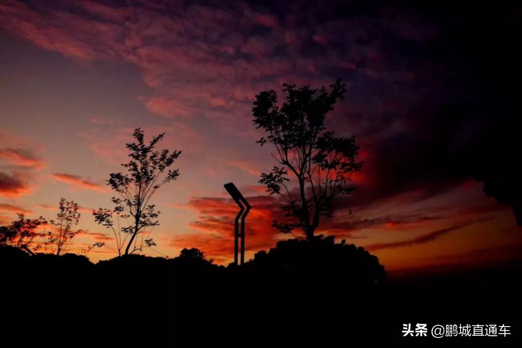 昨天深圳晚霞喜提热搜！美爆了，一大波晚霞图片来袭