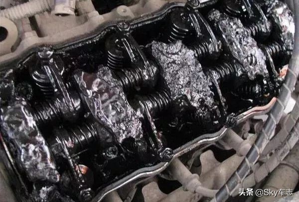 濡備綍鍒ゆ柇瀹濋┈鏈烘补鐪熶吉,瀹濋┈鏈烘补鎬庝箞鍒ゅ畾鐪熶吉