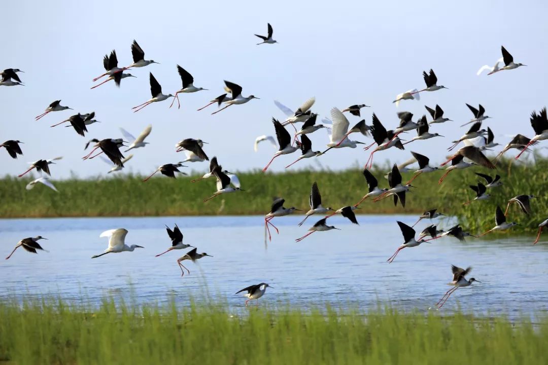 燕赵沃野的读音,河北燕赵大地