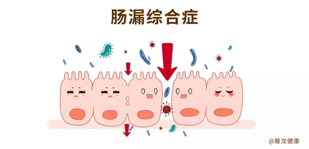 消化不太好吃点什么,消化能力不好吃什么改善