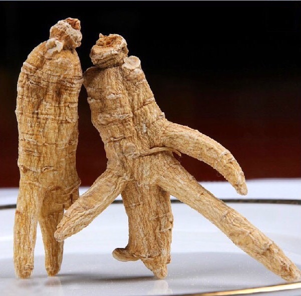 西洋参从哪里进的货,西洋参是从哪里传到中国的