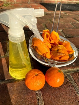 如何自制橘皮酵素？强大的万能清洁剂