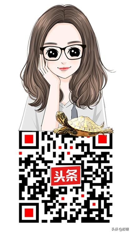 如何判断龟龟有没有生病,如何判断龟龟生病