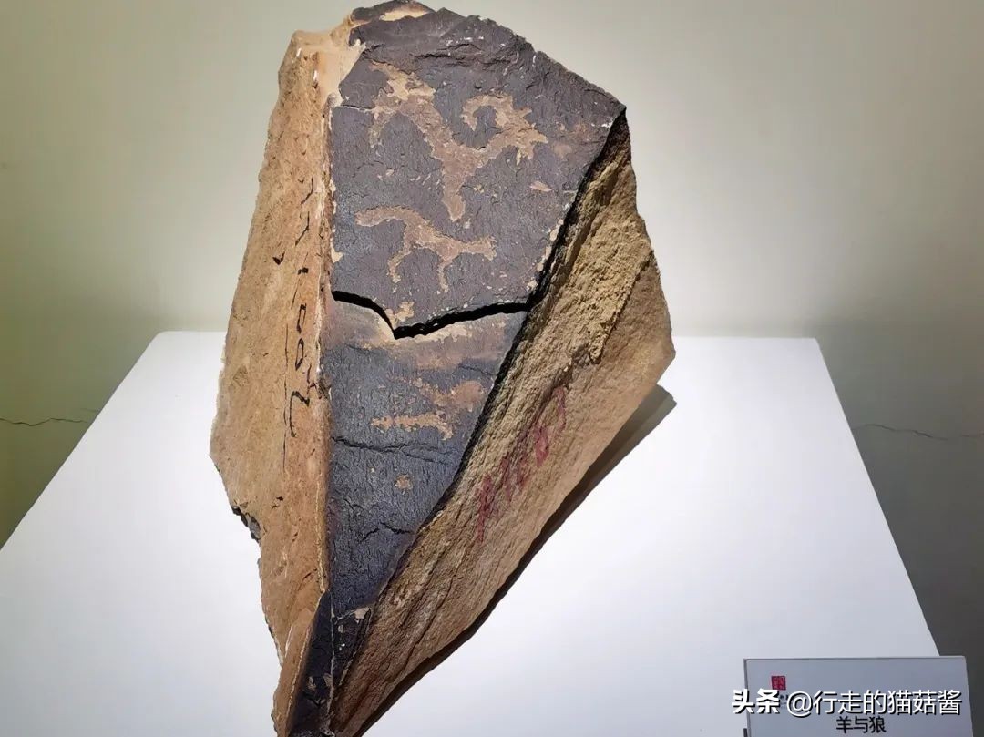 超出预期的大西北第一站，我要吹爆银川！吃玩住行全含