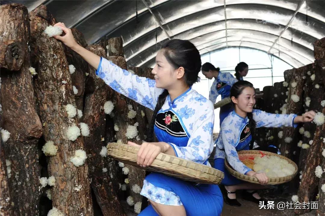 四川红色旅游环线,四川八条精品旅游线路