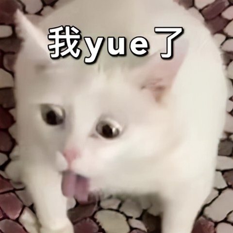 琛ｇ墿闄よ弻鍘诲懗棣欐皼,琛ｇ墿绁涘懗闄よ弻棣欐皼