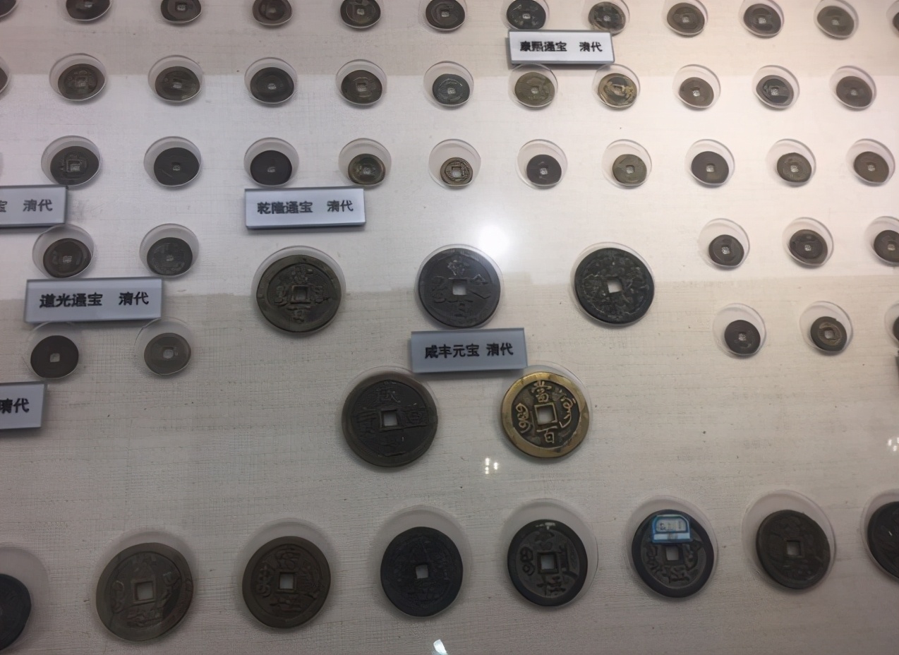 昆明动物博物馆免费开放时间,昆明博物馆和云南博物馆哪个好