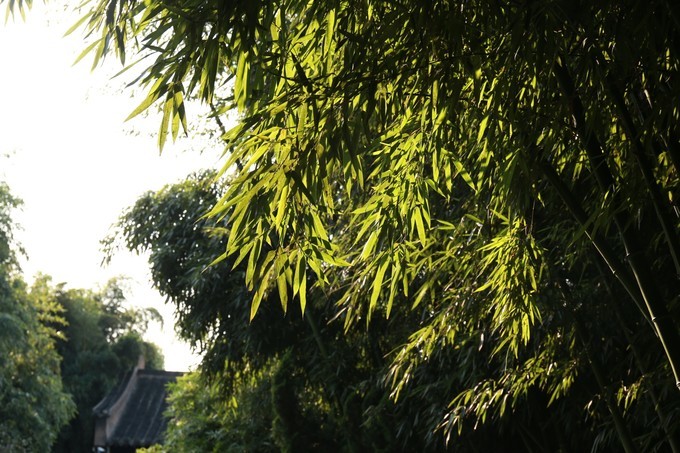 烟花三月下扬州的扬州是哪里,扬州是三月最美还是四月最美