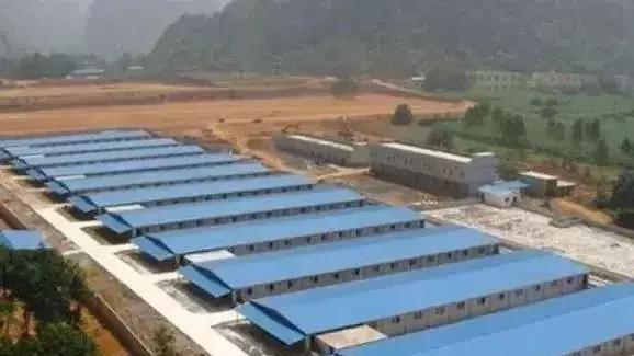 大型养猪场环评流程,新建猪场环评怎么过