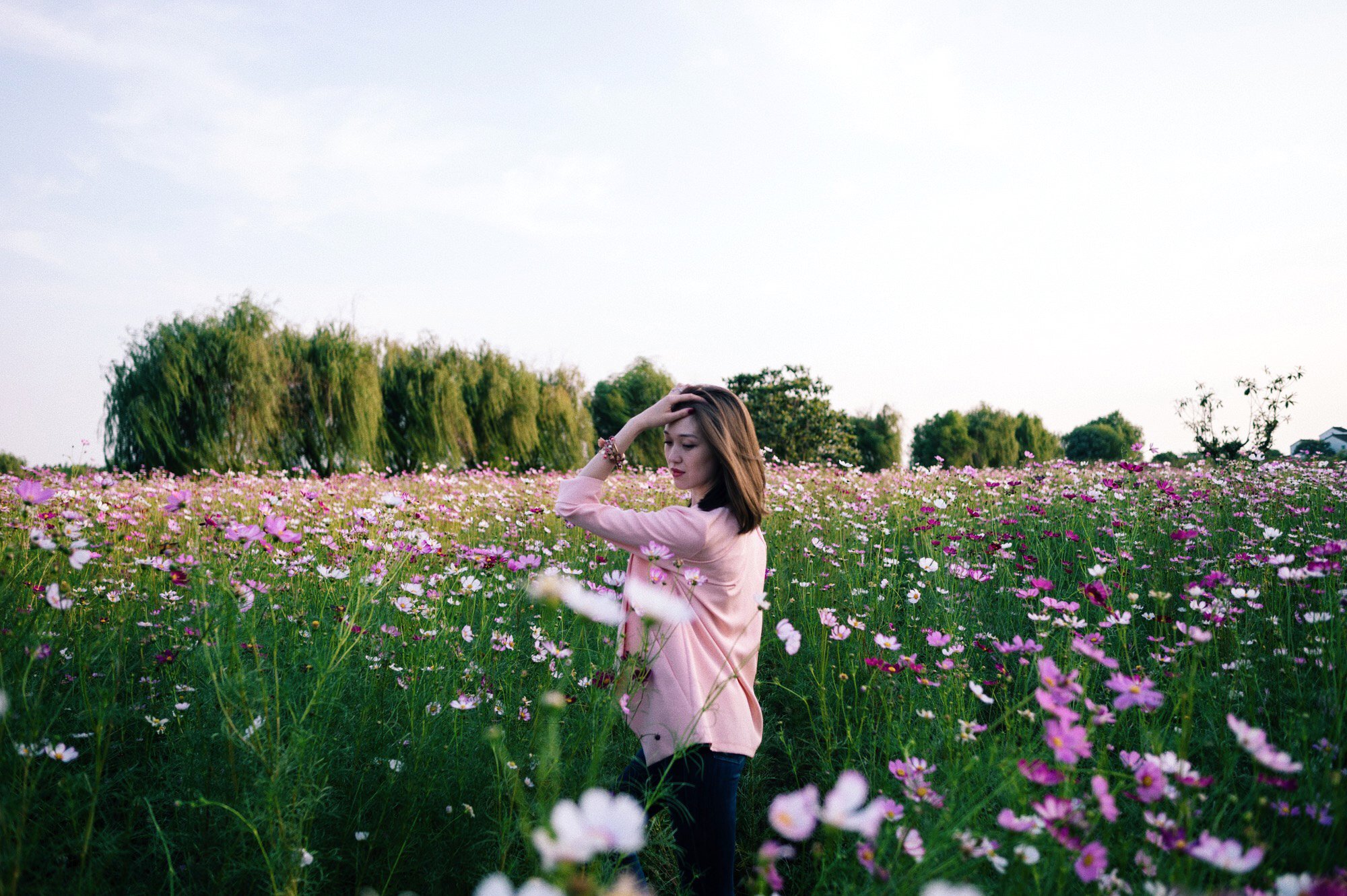 苏州太湖小众小岛,苏州被遗忘的太湖小岛