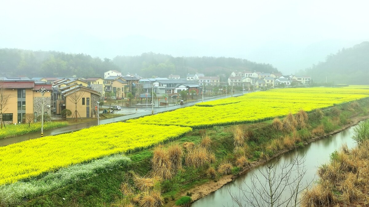 农村田螺养殖致富,农村俗语有钱难买