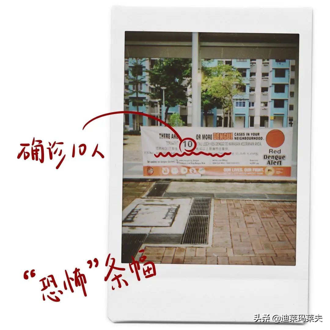 在外国隔离14天的中国人,在国外留学生隔离