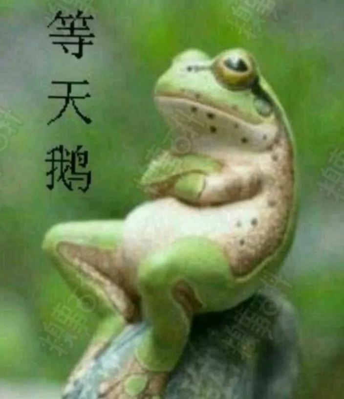 老话“不怕癞蛤蟆进家，就怕3树立门头”，啥意思？