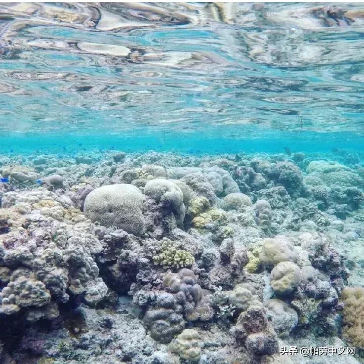 还没有被发现的岛屿,又挖到5个福建的小众绝美海岛