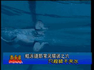 蛙泳腿部翻脚错误纠正,蛙泳在水中腿部翻脚忘记了怎么办