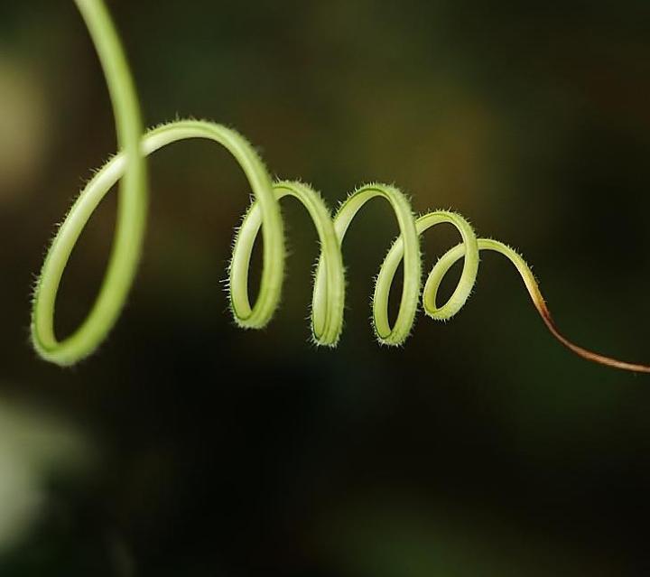 念什么咒语会改变运气,念什么咒语能让你运气变好