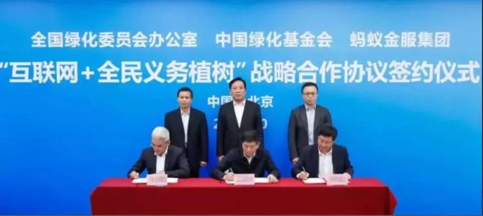 马云退休原因分析,独家揭秘马云凭什么退休