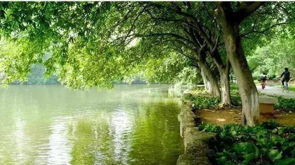 三水芦苞温泉度假村别墅住宿,佛山三水区芦苞温泉度假酒店