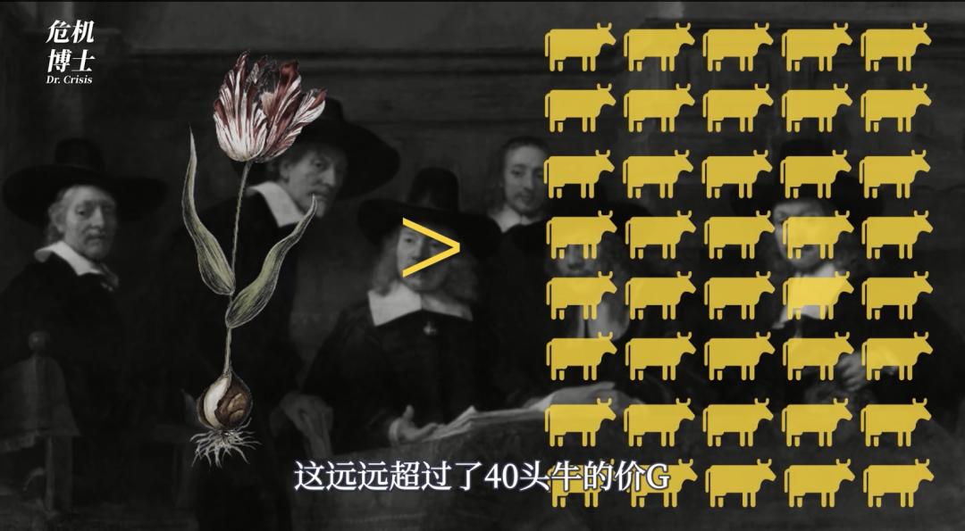 郁金香是怎么毁掉荷兰的,荷兰郁金香泡沫对荷兰的影响