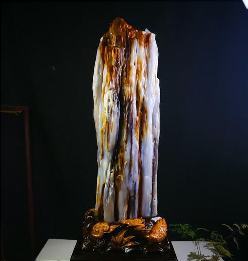 时来运转之陨石,硅化木极品