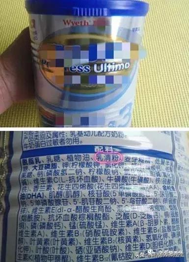 乳清蛋白和乳铁蛋白植物蛋白区别,植物蛋白和乳清蛋白的区别哪个好