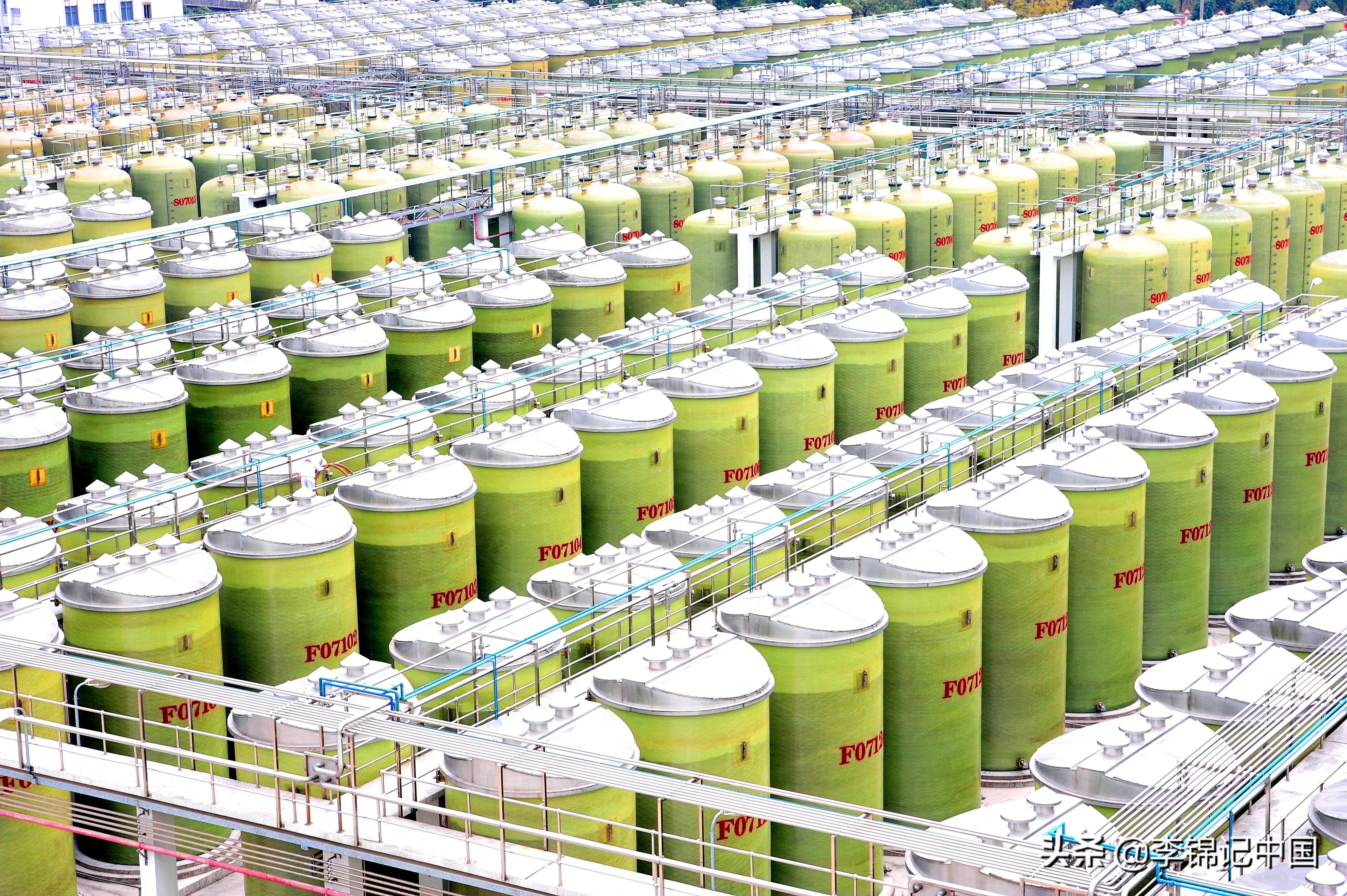 和李锦记对标的品牌 (李锦记品牌价值排行榜)