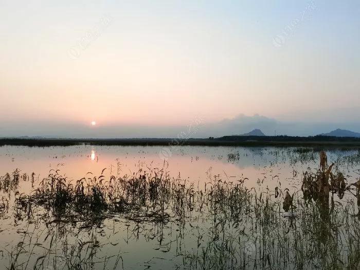 十年光威，百变鱼情