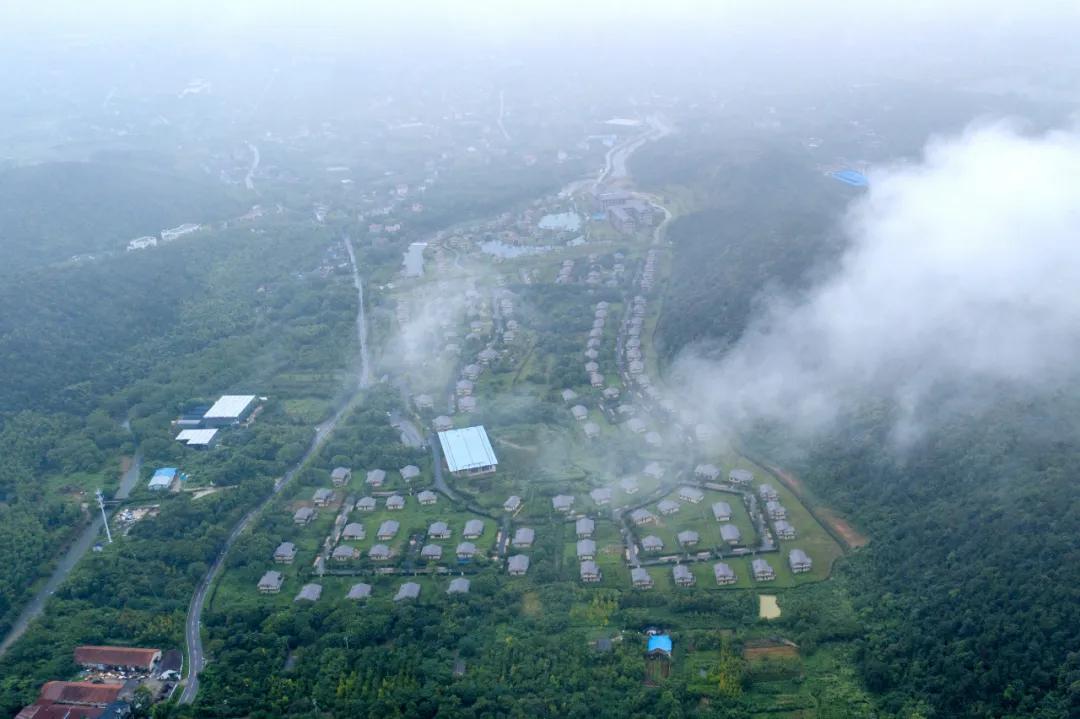 “好风景”造“新经济”——长兴顾渚“画溪谷”蓄势而发