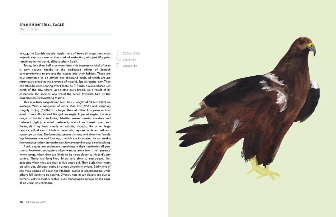 童真稚趣,稚拙童趣天真