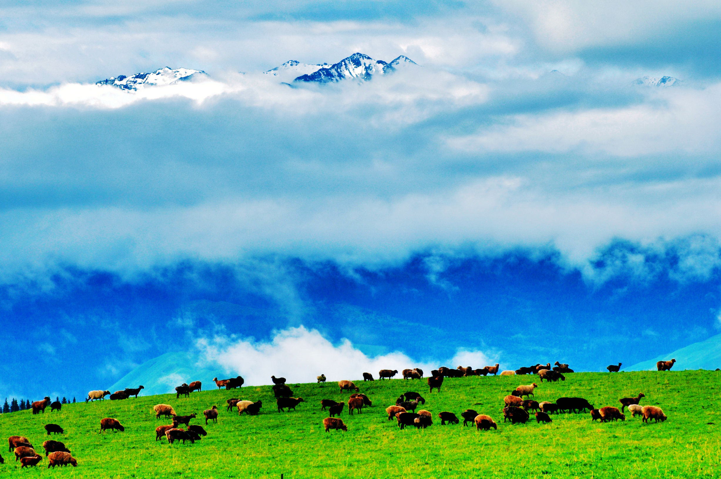 祖国北疆壮美山河,祖国大好河山新疆旅游