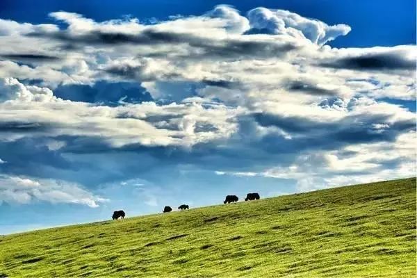 下半年旅行最佳时间表,2023最佳旅游时间表