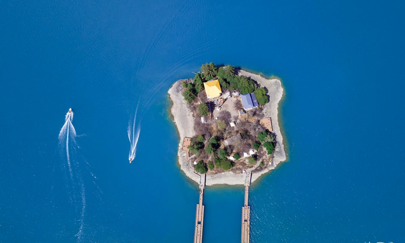 松茸的吃法大全视频,松茸的吃法周岁宝宝可以吃吗