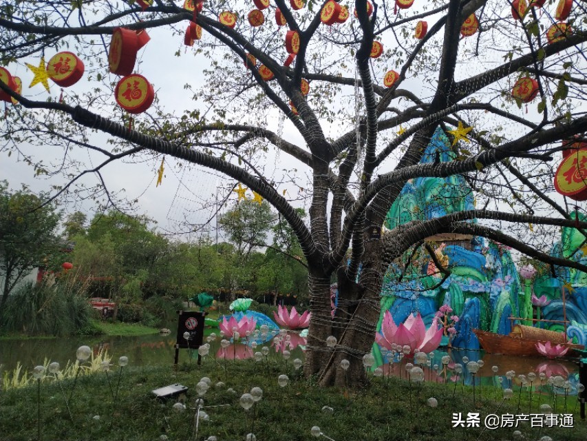 成都到底怎么样,成都怎么样值得去吗