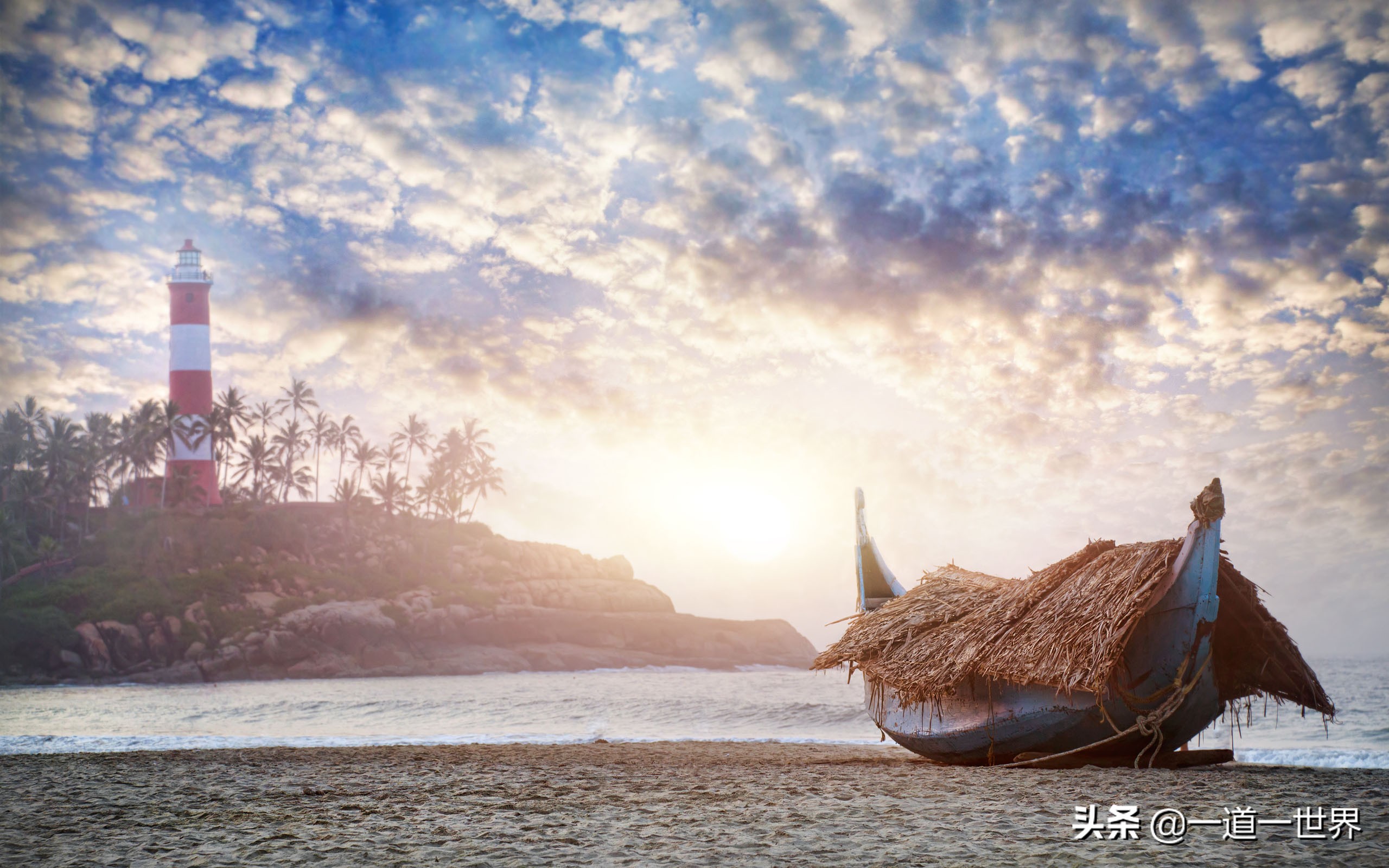 无依无靠才会使人内心强大吧,人在逆境所能依靠只有自己