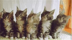 平价高级感挖宝,挖宝好物推荐零食