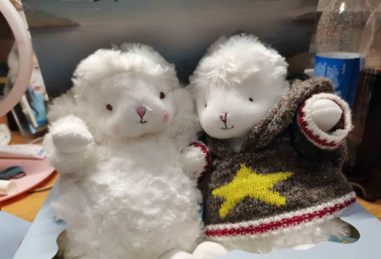 兄弟女朋友过生日送什么礼物合适,第一次陪女朋友过生日送什么礼物