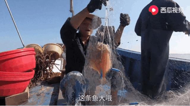 西瓜视频赶海活动,西瓜视频赶海