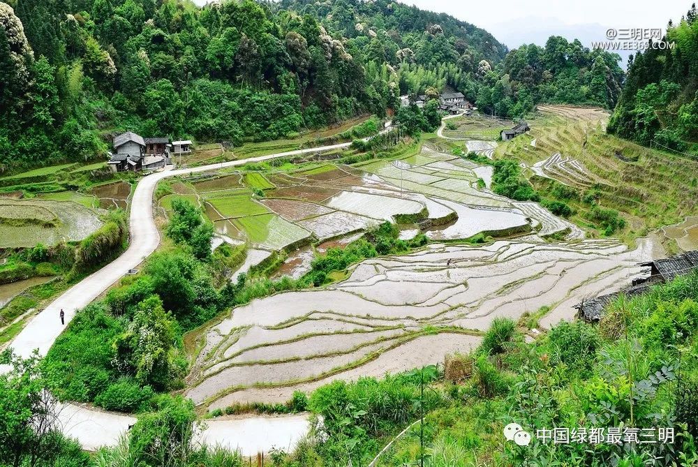 中国绿都三明旅游攻略,中国绿都乐购三明直播节明溪
