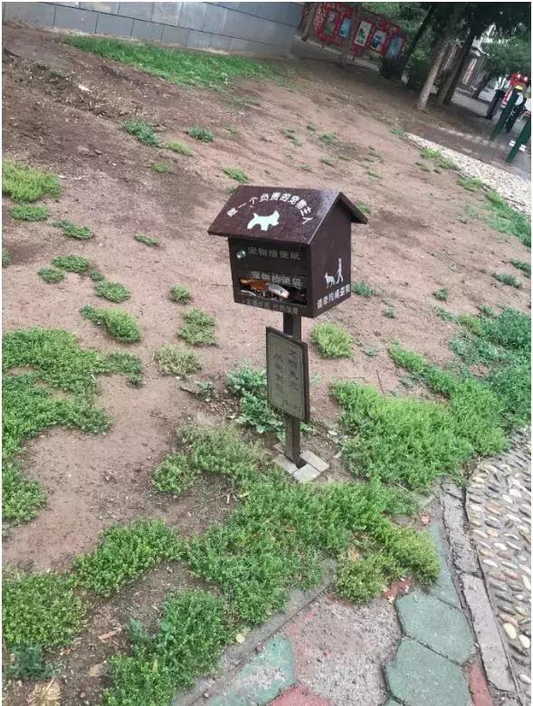 新划进光明中学的这个老小区，位置真好！还不贵