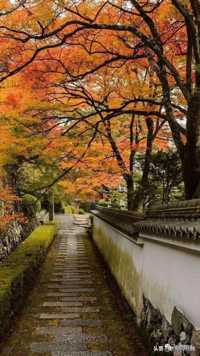 恼人的秋风，不是秋风恼人，而是庸人自扰。爱挖陷阱的人，人自恼