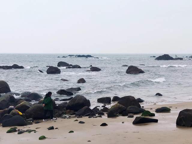 董明珠格力公司工资多少,董明珠在格力工资多少