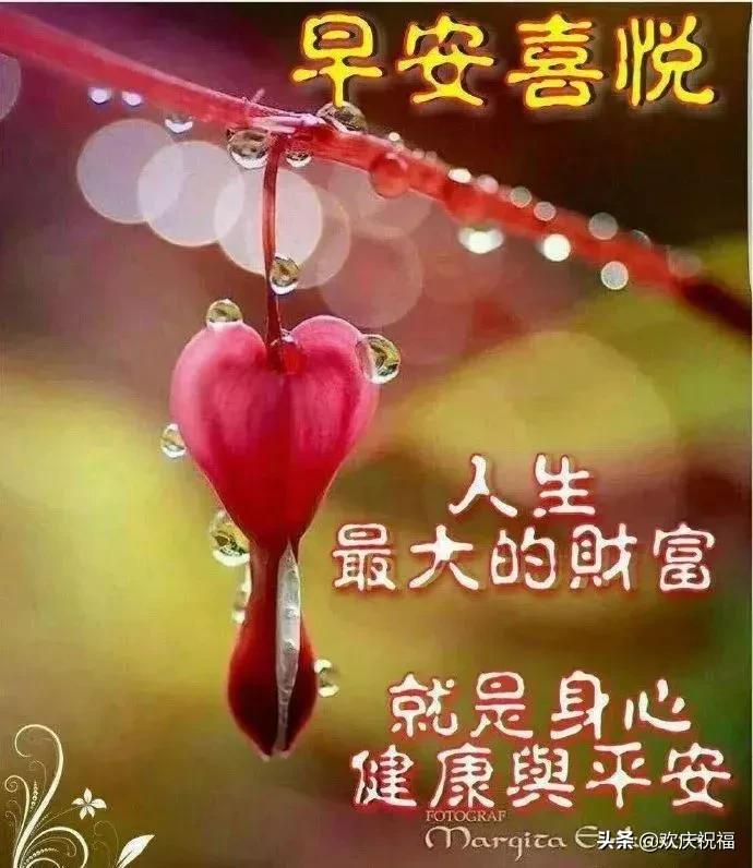 早上好祝福语会动的早上好图片,最新早上好问候祝福语图片图文