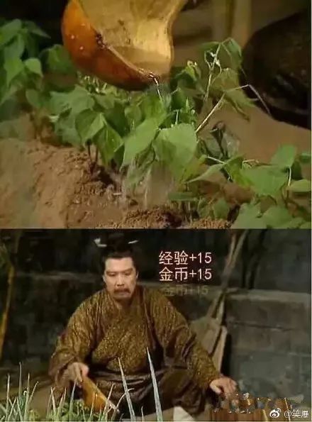 那些搞笑的弹幕,被沙雕网友的弹幕笑疯了哈哈哈