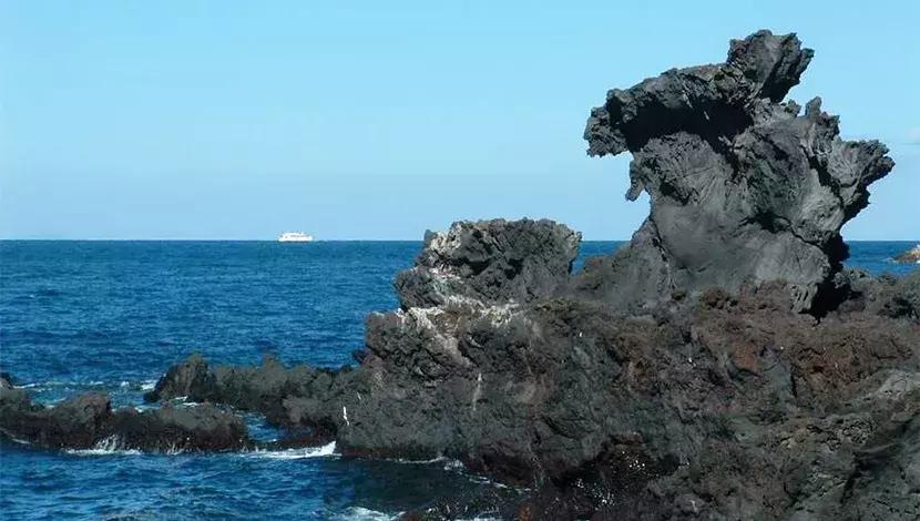 6月23日-28日，中韩影视高研班济州岛之旅