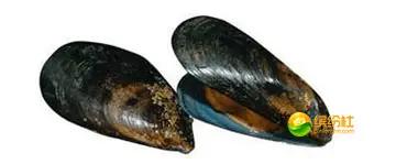 舟山海鲜攻略2天1晚住宿自由行,舟山最好的海鲜